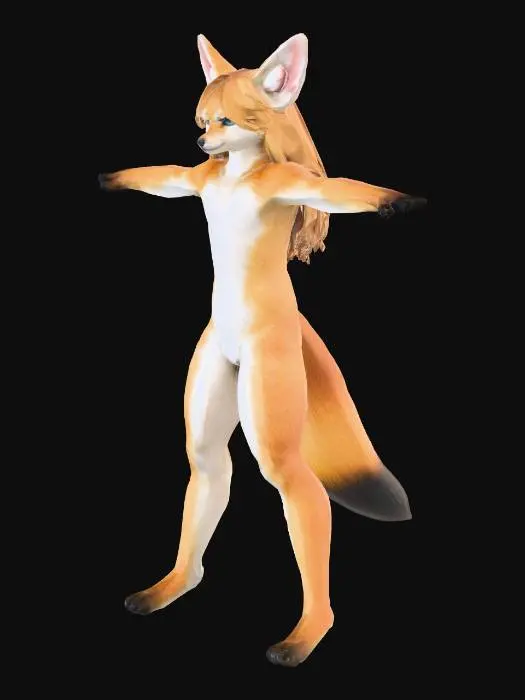 3D model for Fennec Pose