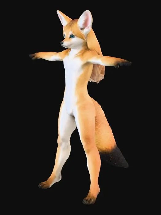 3D model for Fennec Pose