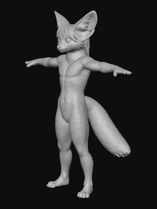3D model for Fennec Stance