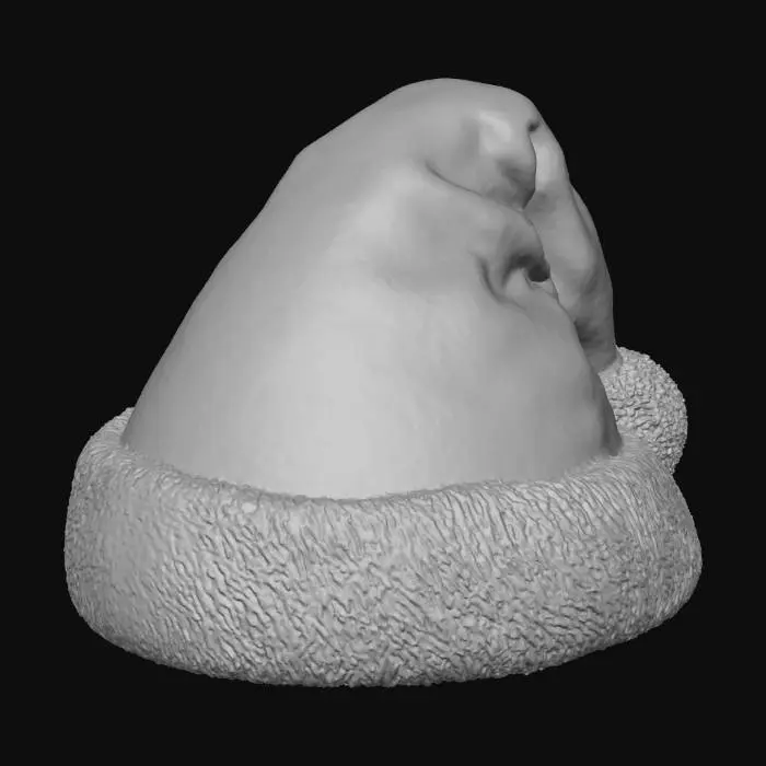 3D model for Santa's Hat, #Christmas2025#