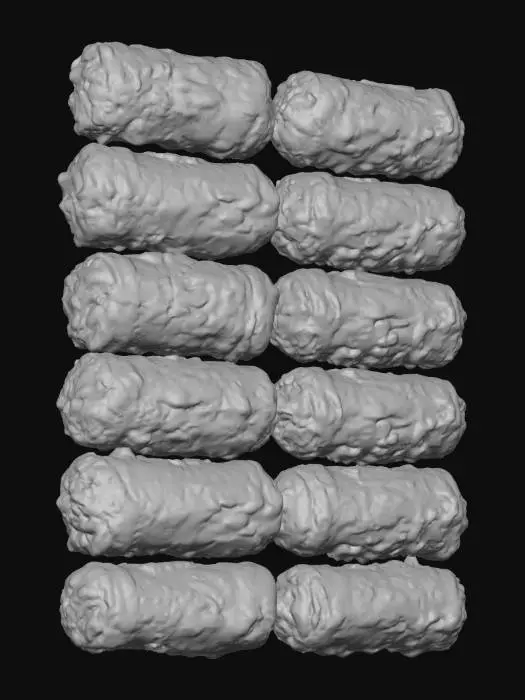 3D model for Seaweed Rice Rolls
