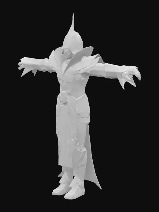 3D model for Wizard in Enchanted Armor