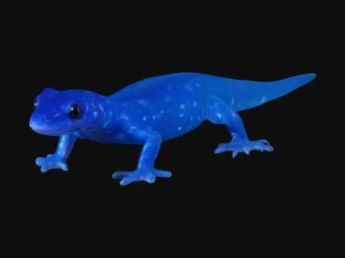 3D model for A blue luminiscent Salamander