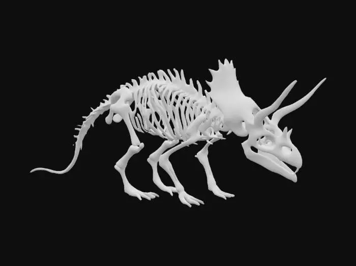 3D model for The complete bone structure of a Triceratops