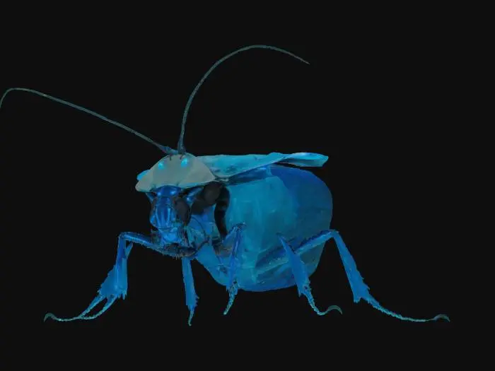 3D model for A Black and Blue Monster Cockroach in Bioluminicence light glowing from it