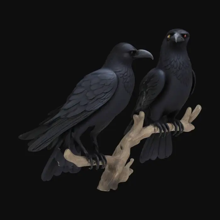 3D model for Huginn & Muninn