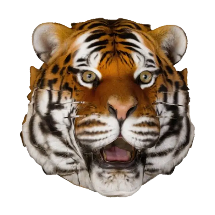 A Classical Tiger head, no accessories. - Bengal 3D model, vytvořený pomocí AI