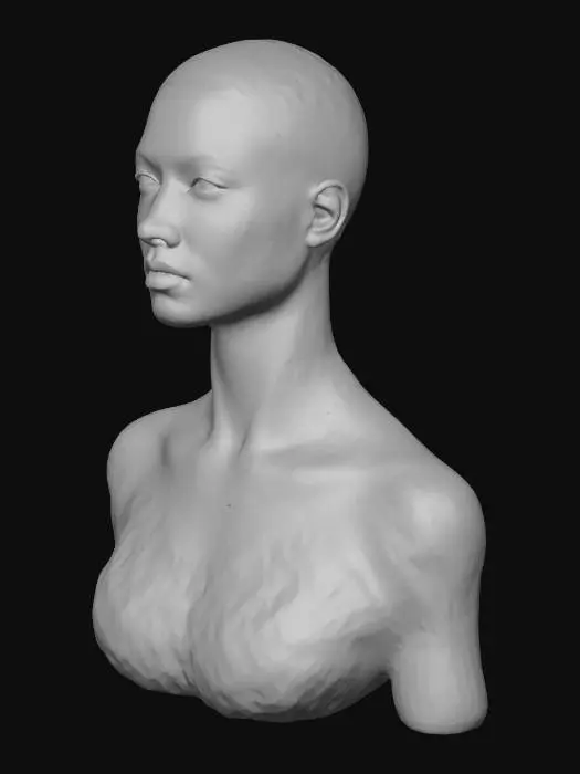 3D model for Serene Minimalism