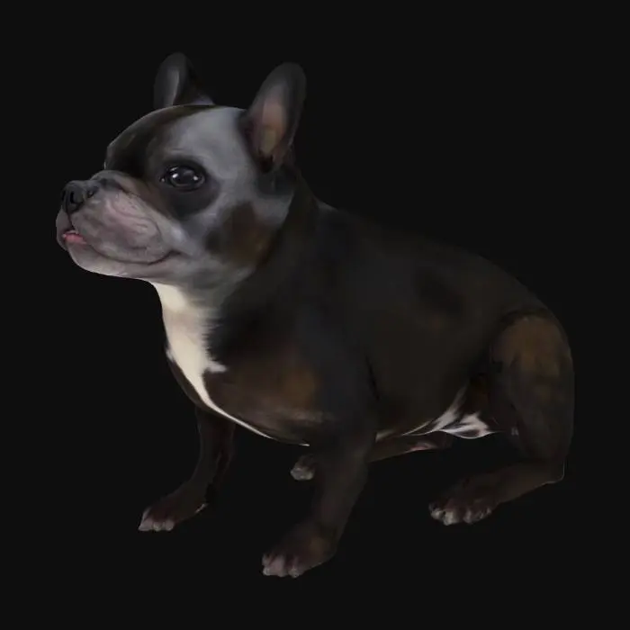 3D model for Frenchie Paws