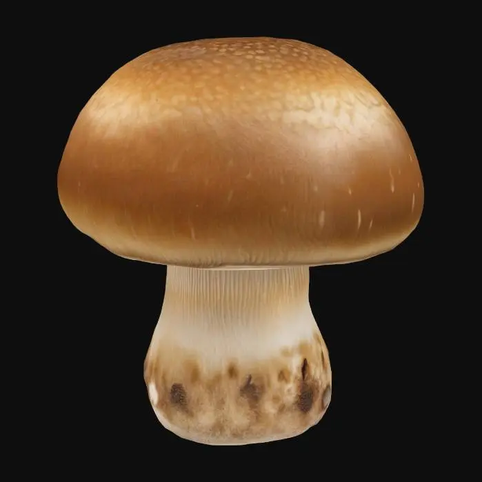 3D model for Mushroom Majesty