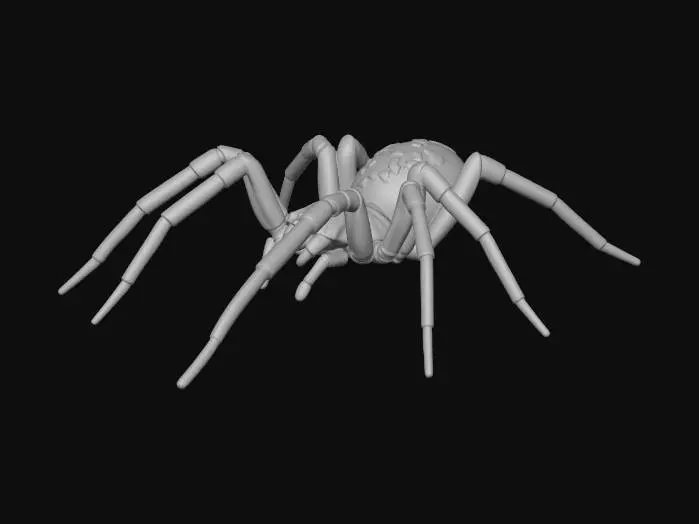 3D model for Spider