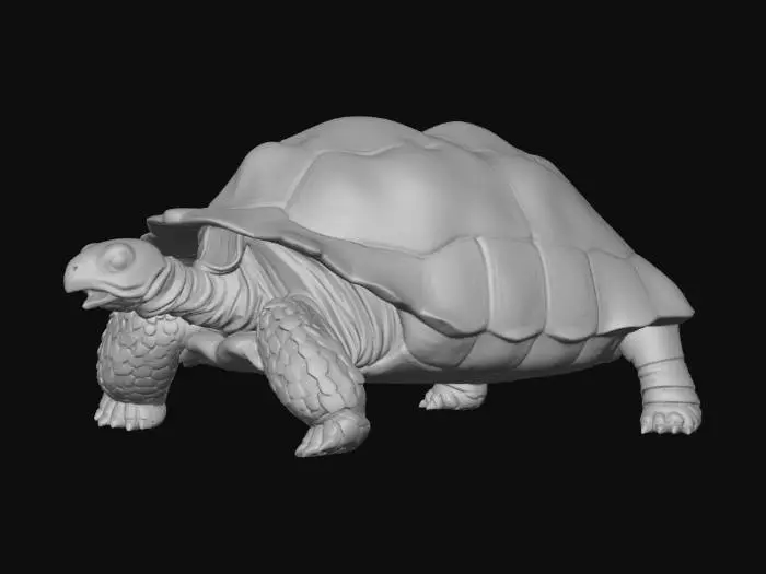 3D model for Tartaruga