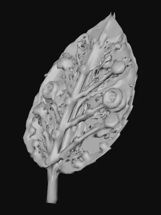 3D model for TechnoLeaf