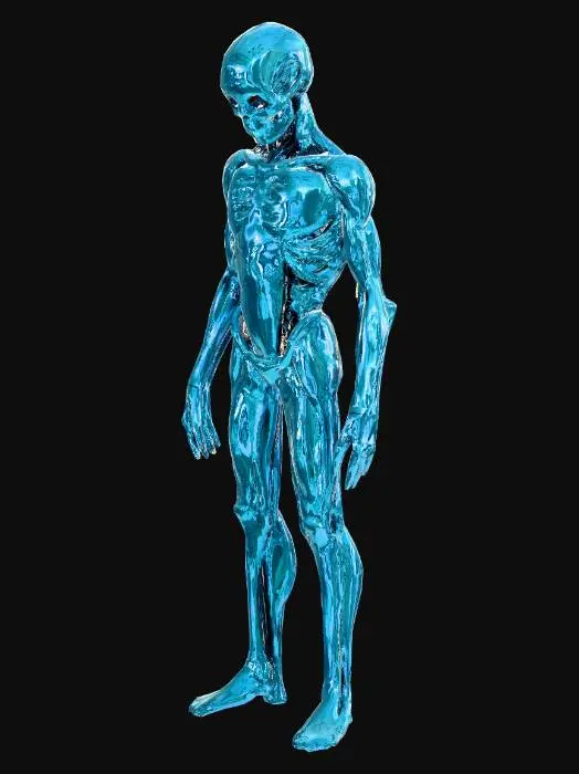 3D model for Anatomical Figure