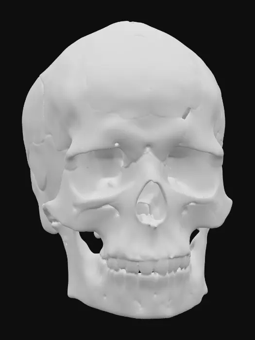 3D model for Desert Skull