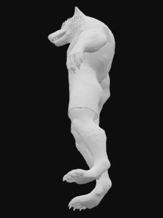 3D model for Werewolf Fighter
