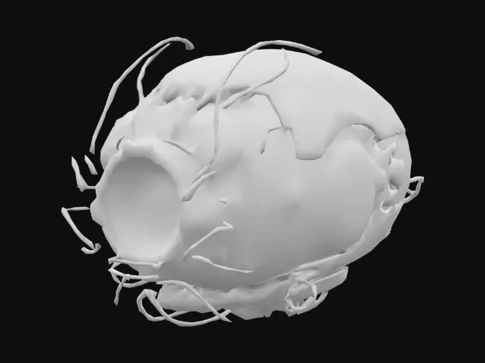 3D model for A damaged sensory enhancement device, its receptors non-functional. Sci-Fi, Cybernetic, Ultra Realistic.