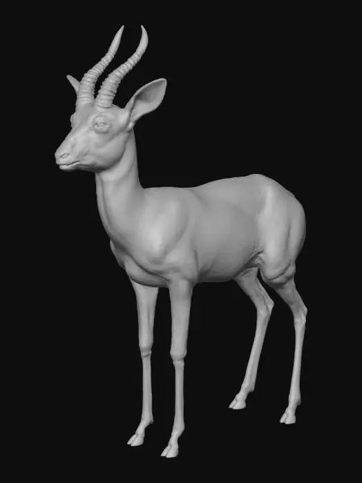 3D model for Graceful Gazelle