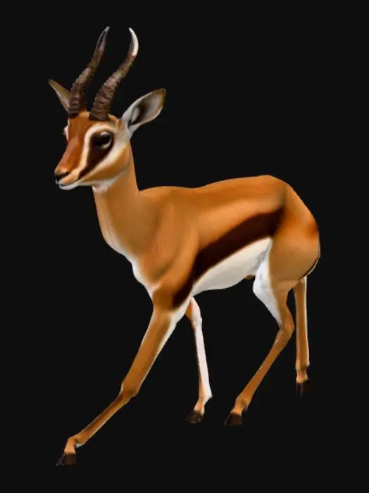 3D model for Graceful Gazelle