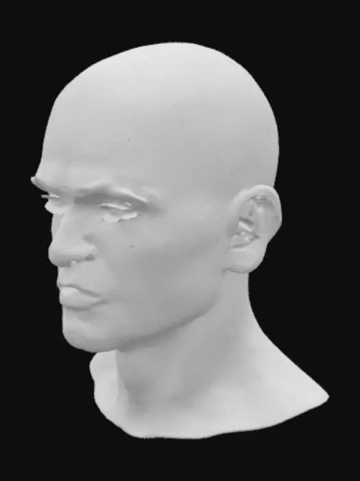 3D model for Sculpted Gaze