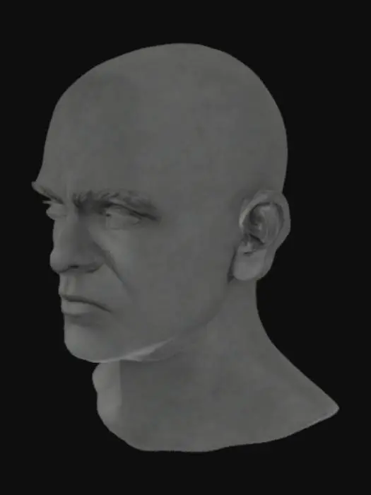 3D model for Sculpted Gaze