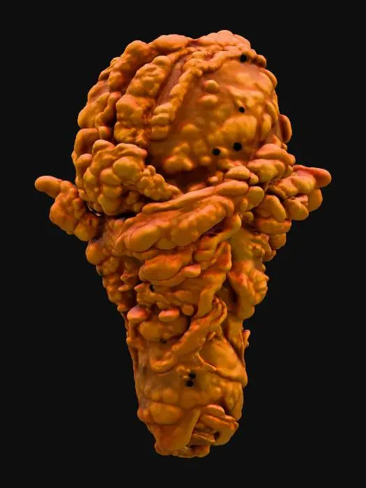 3D model for Crispy Delight