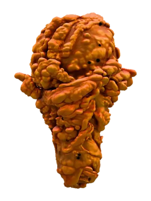 junkfood