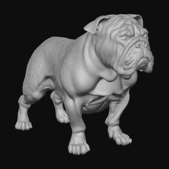 3D model for A photorealistic, anatomically correct English Bulldog in a neutral standing P-pose. Heavy, thick-set, low-swung body. Wide barrel chest. Prominent underbite and heavy jowls. Deep, thick wrinkles and skin folds on the face and neck. Short, fine-textured coat. Ultra-realistic, 8k PBR textures, clean quad topology, game-ready, watertight mesh. Even studio lighting. Negative Prompt: cartoon, stylized, slender, lanky, long legs, overbite, smooth skin, no wrinkles, generic dog, deformed, bad anatomy, asymmetrical, baked lighting.