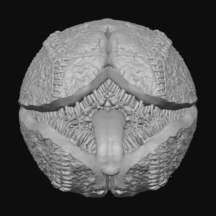 3D model for The Geode-Lure, #Halloween2025#