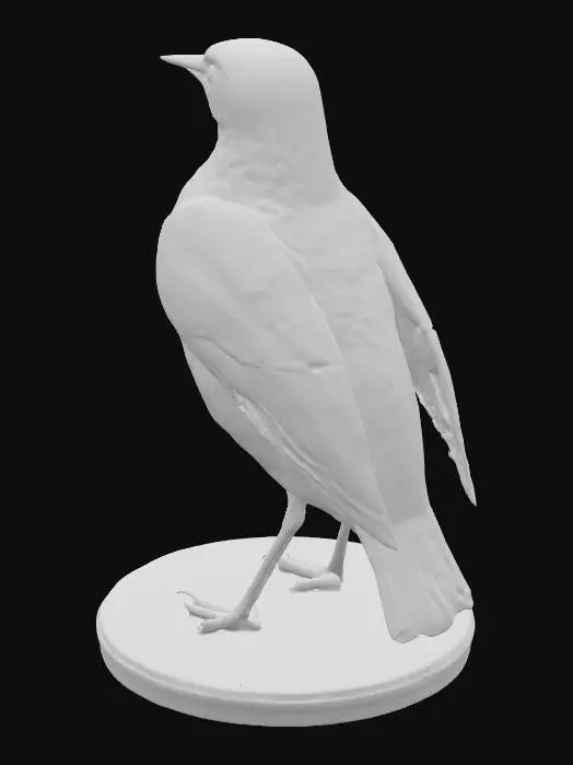 3D model for Highly realistic, detailed common starling (Sturnus vulgaris) standing upright, wings naturally folded, fine feather textures clearly defined, sharp slender beak slightly pointing forward, proportionate legs, smooth contours, solid body optimized for flawless high-resolution STL 3D printing, symmetrical, no artifacts, stable base, lifelike pose.