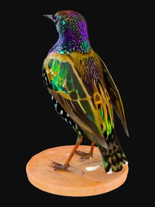 3D model for Highly realistic, detailed common starling (Sturnus vulgaris) standing upright, wings naturally folded, fine feather textures clearly defined, sharp slender beak slightly pointing forward, proportionate legs, smooth contours, solid body optimized for flawless high-resolution STL 3D printing, symmetrical, no artifacts, stable base, lifelike pose.