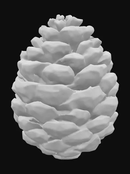 3D model for A realistic pine cone