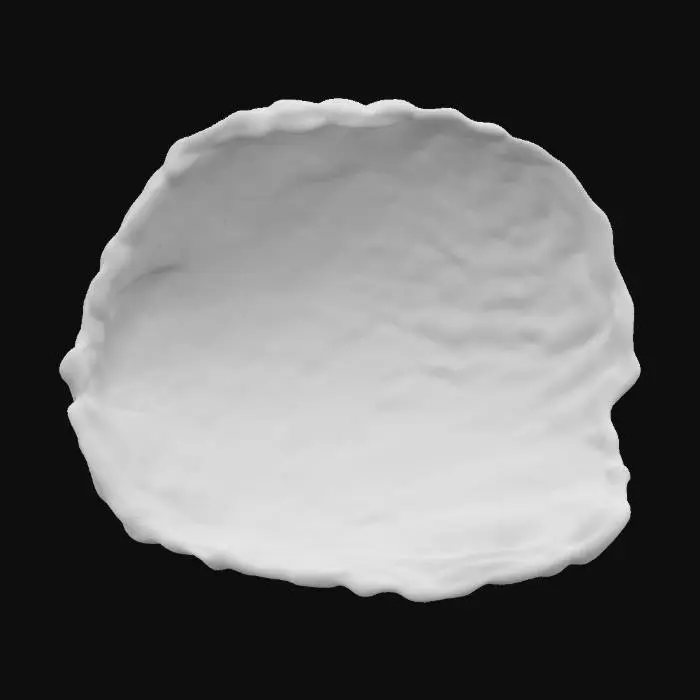 3D model for A Realistic Abalone Shell
