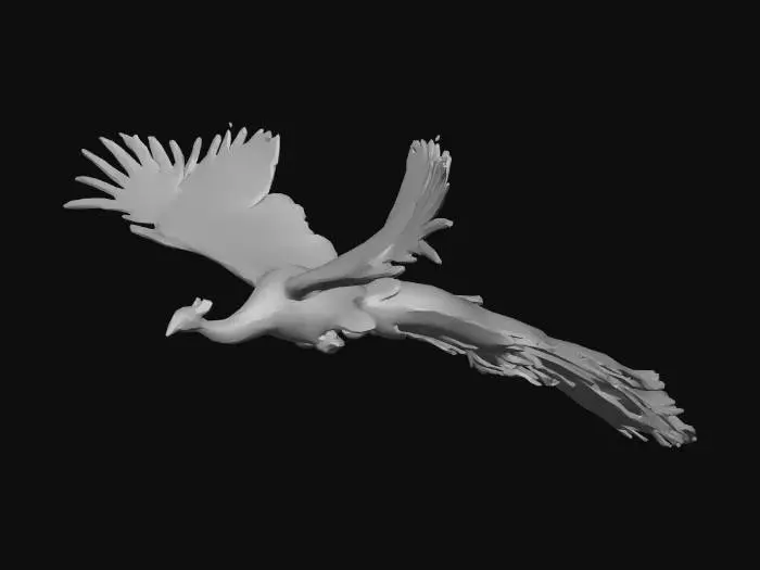 3D model for Peacock in Flight