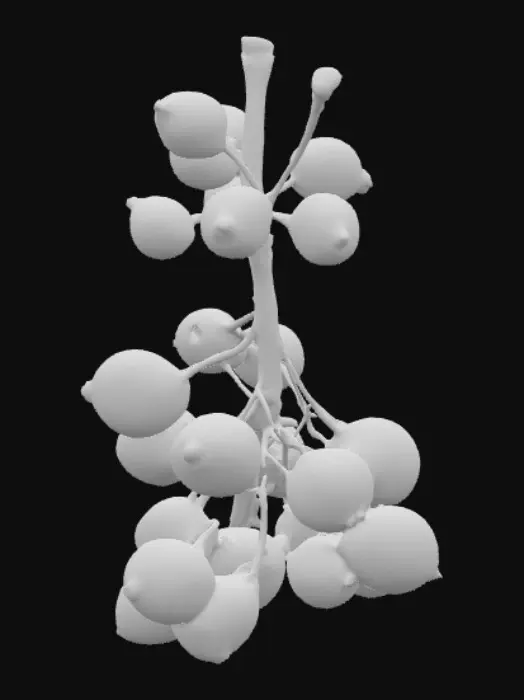 3D model for Stylized tanghulu. Realistic