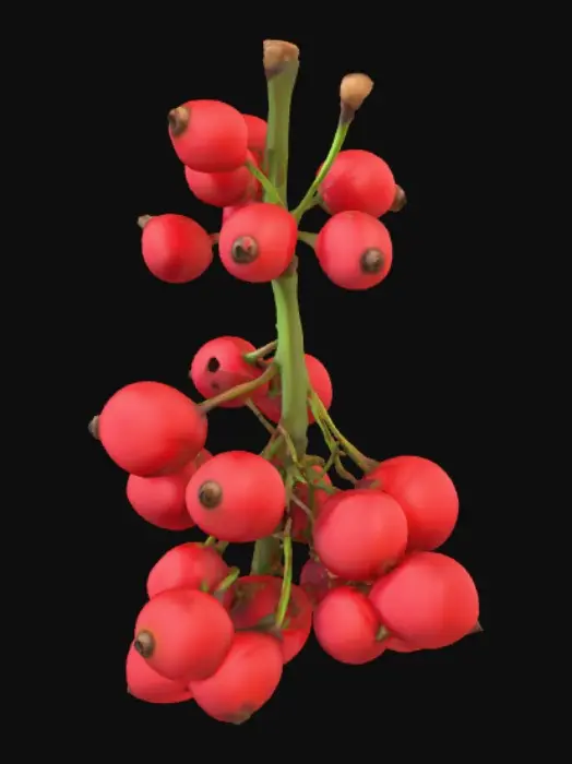 3D model for Stylized tanghulu. Realistic