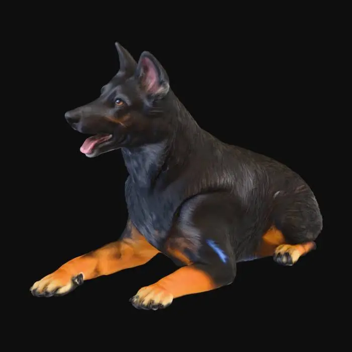 3D model for Midnight Shepherd