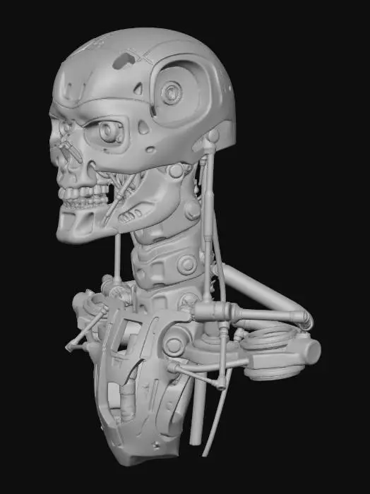 3D model for Mechanical Sentience
