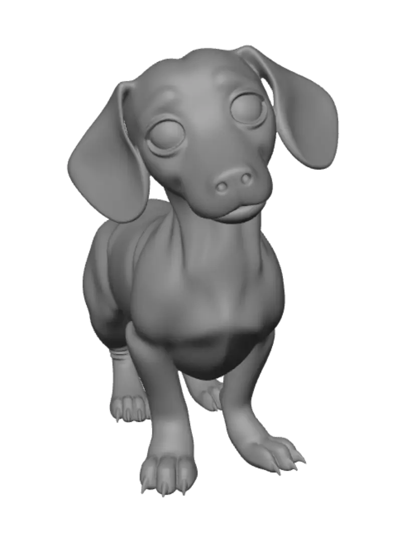dachshund