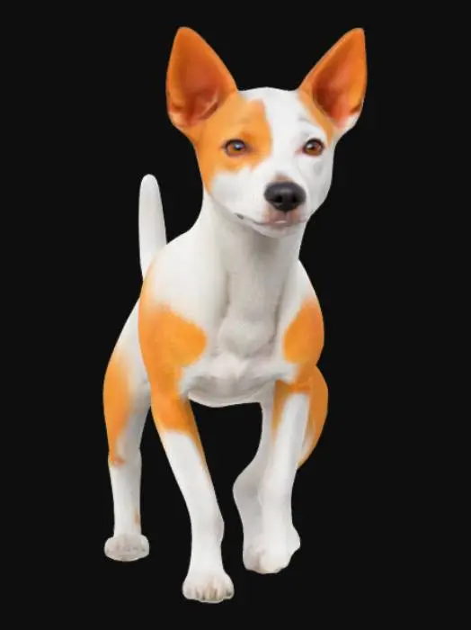 3D model for "An white and orange indie dog with a sleek, short coat, upright ears, and a confident, alert posture, standing on a grassy field with a natural, serene background."