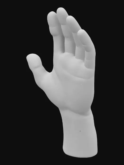 3D model for рука мальчика 12 лет со светлым цветом кожи для анимирования