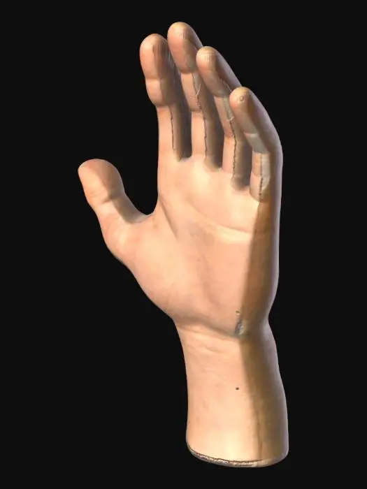 3D model for рука мальчика 12 лет со светлым цветом кожи для анимирования