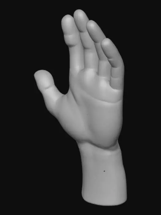 3D model for рука мальчика 12 лет со светлым цветом кожи для анимирования