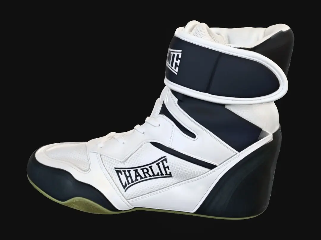shoe