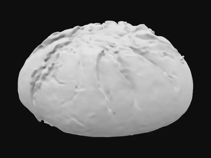 3D model for a bread from ancient city of Pompeii