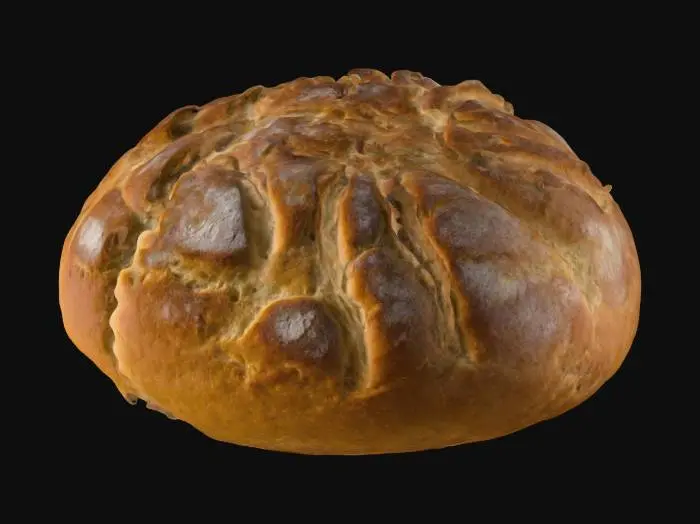3D model for a bread from ancient city of Pompeii