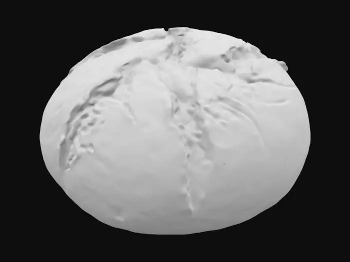 3D model for a bread from ancient city of Pompeii