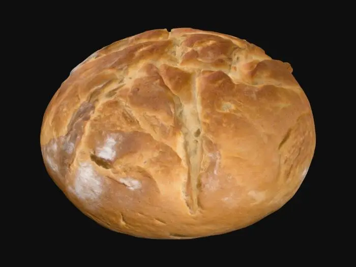 3D model for a bread from ancient city of Pompeii