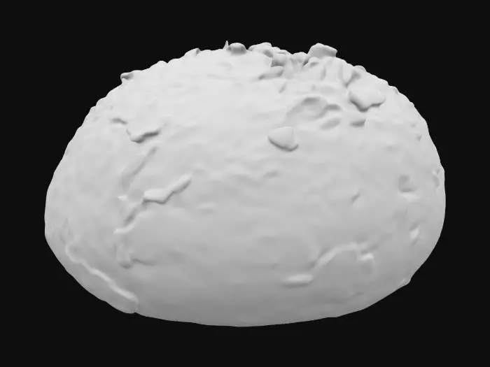 3D model for a bread from ancient city of Pompeii