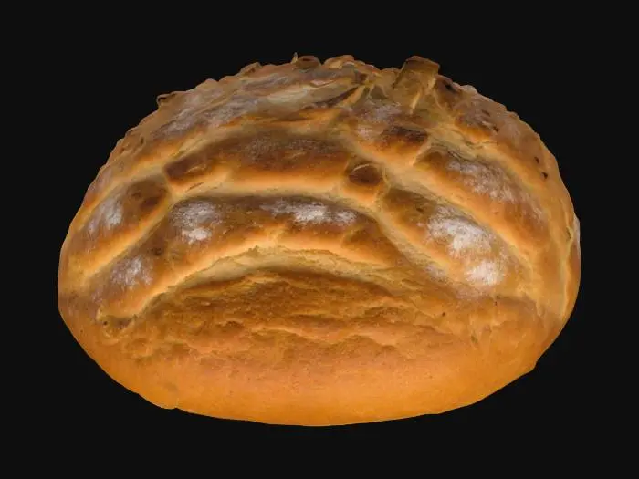 3D model for a bread from ancient city of Pompeii